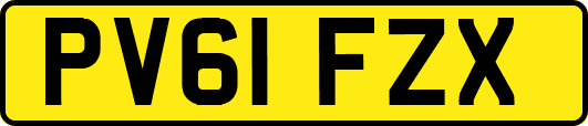 PV61FZX