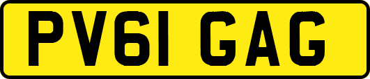 PV61GAG