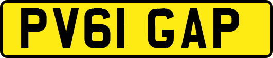 PV61GAP
