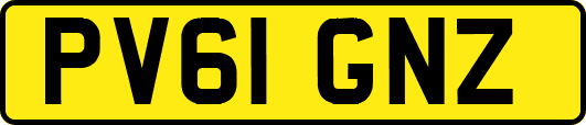 PV61GNZ