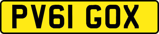 PV61GOX