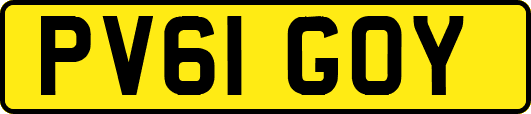 PV61GOY