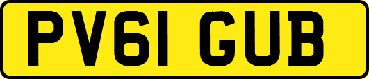 PV61GUB