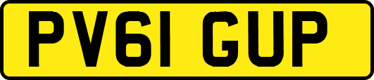 PV61GUP