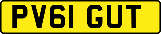 PV61GUT
