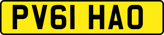 PV61HAO