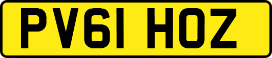 PV61HOZ