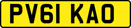 PV61KAO