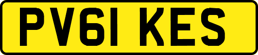 PV61KES