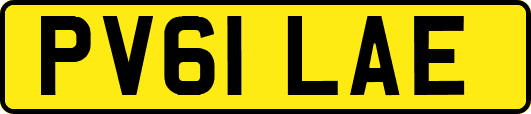 PV61LAE
