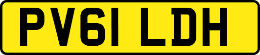 PV61LDH