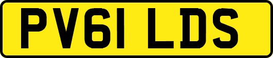PV61LDS