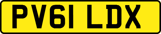 PV61LDX
