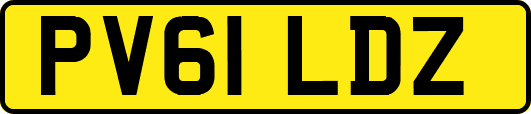 PV61LDZ