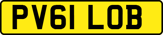 PV61LOB