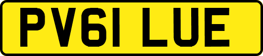 PV61LUE