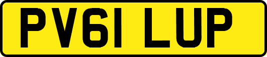 PV61LUP