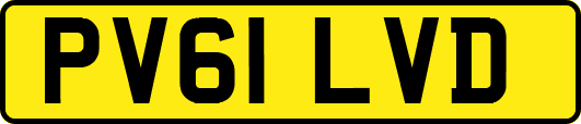 PV61LVD