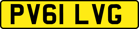 PV61LVG