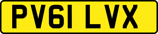 PV61LVX
