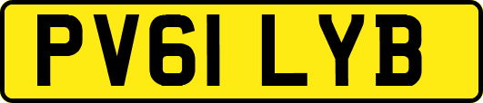 PV61LYB