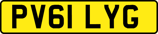 PV61LYG