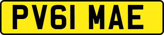 PV61MAE