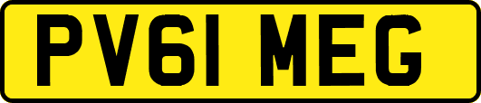 PV61MEG