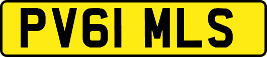 PV61MLS