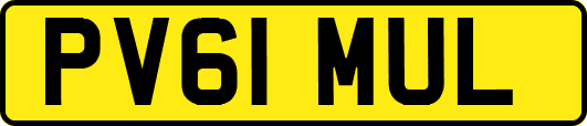 PV61MUL