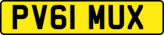 PV61MUX