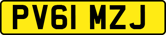 PV61MZJ