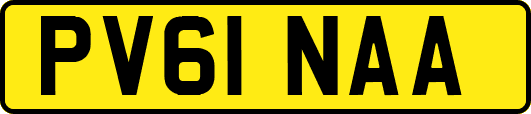 PV61NAA