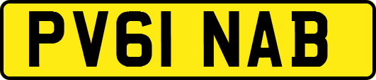 PV61NAB