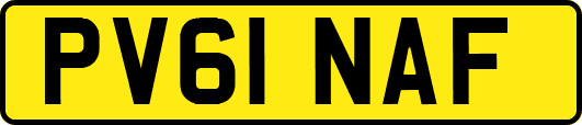 PV61NAF