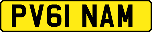PV61NAM