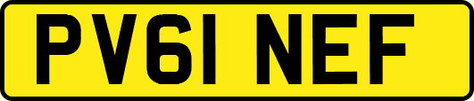 PV61NEF