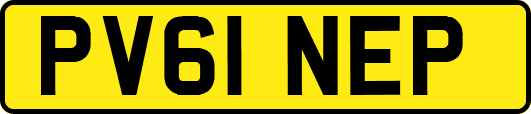 PV61NEP