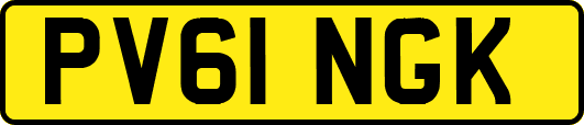 PV61NGK