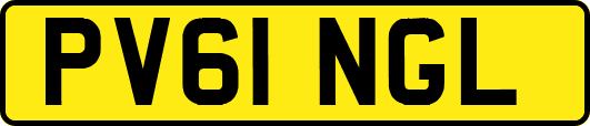 PV61NGL