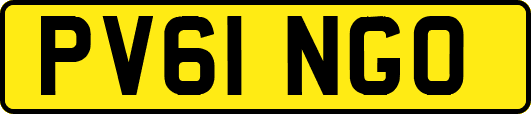 PV61NGO