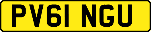 PV61NGU