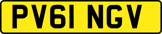 PV61NGV
