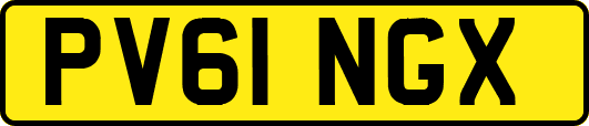 PV61NGX