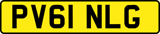 PV61NLG