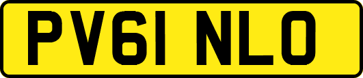 PV61NLO
