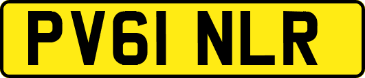PV61NLR