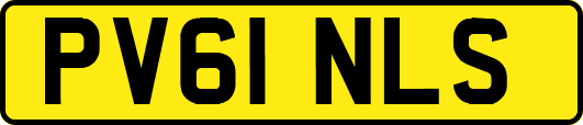 PV61NLS