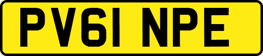 PV61NPE