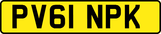 PV61NPK